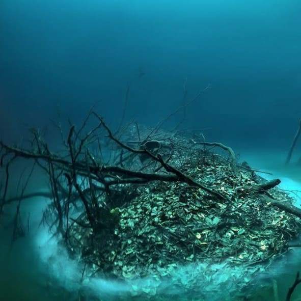 Cenote Angelita